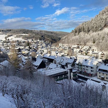 Landhaus Muehlenberg Віллінген Екстер'єр фото