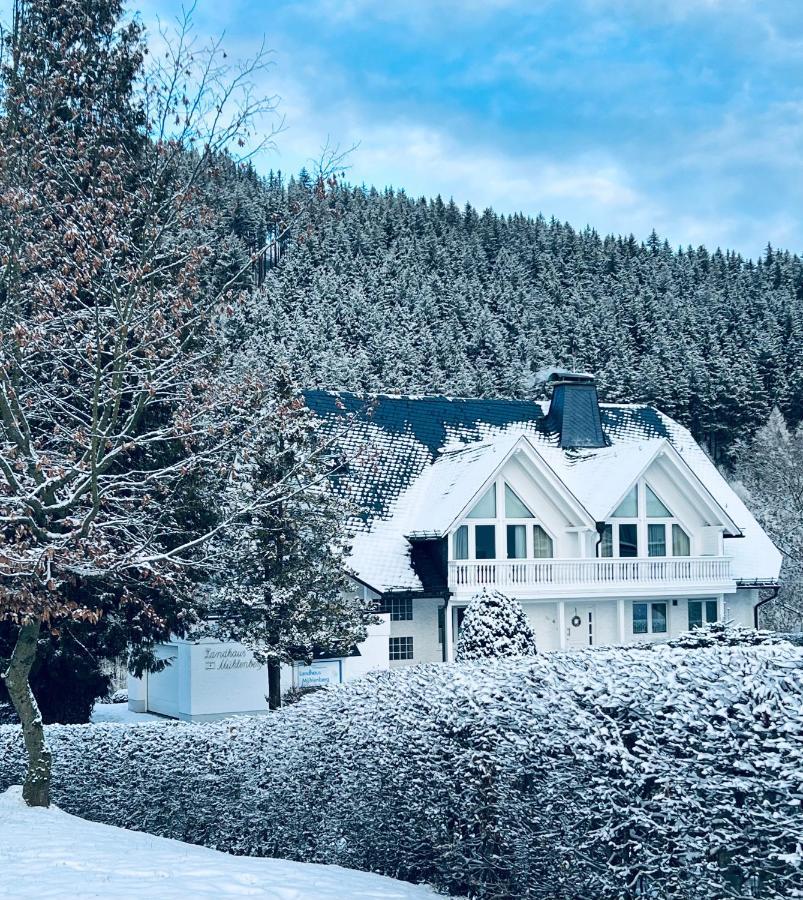 Landhaus Muehlenberg Віллінген Екстер'єр фото